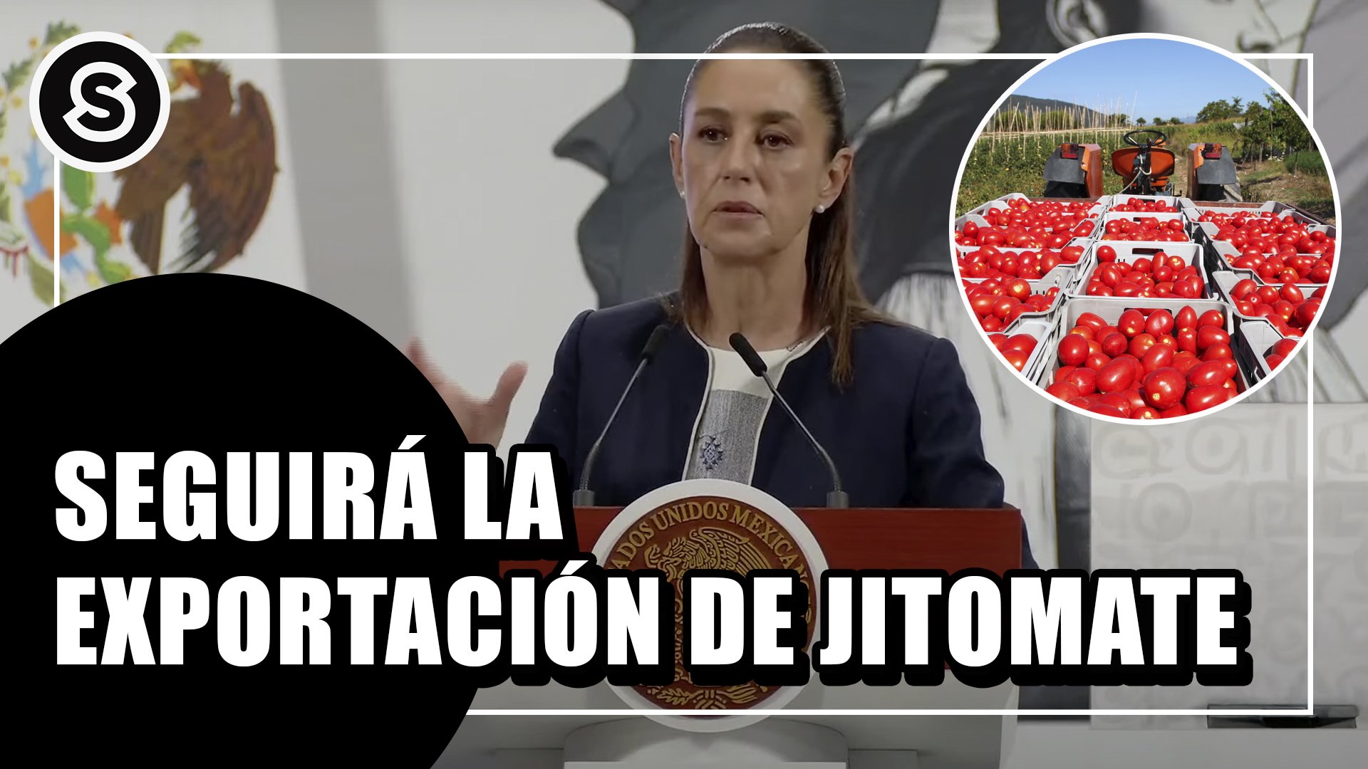 jitomate