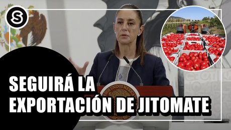 jitomate
