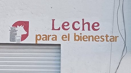 leche del bienestar mexico