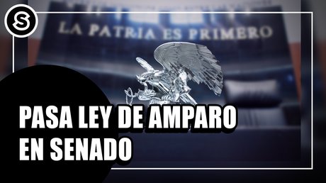 leyamparo