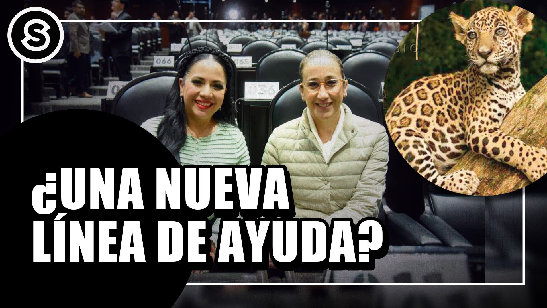 linea de ayuda