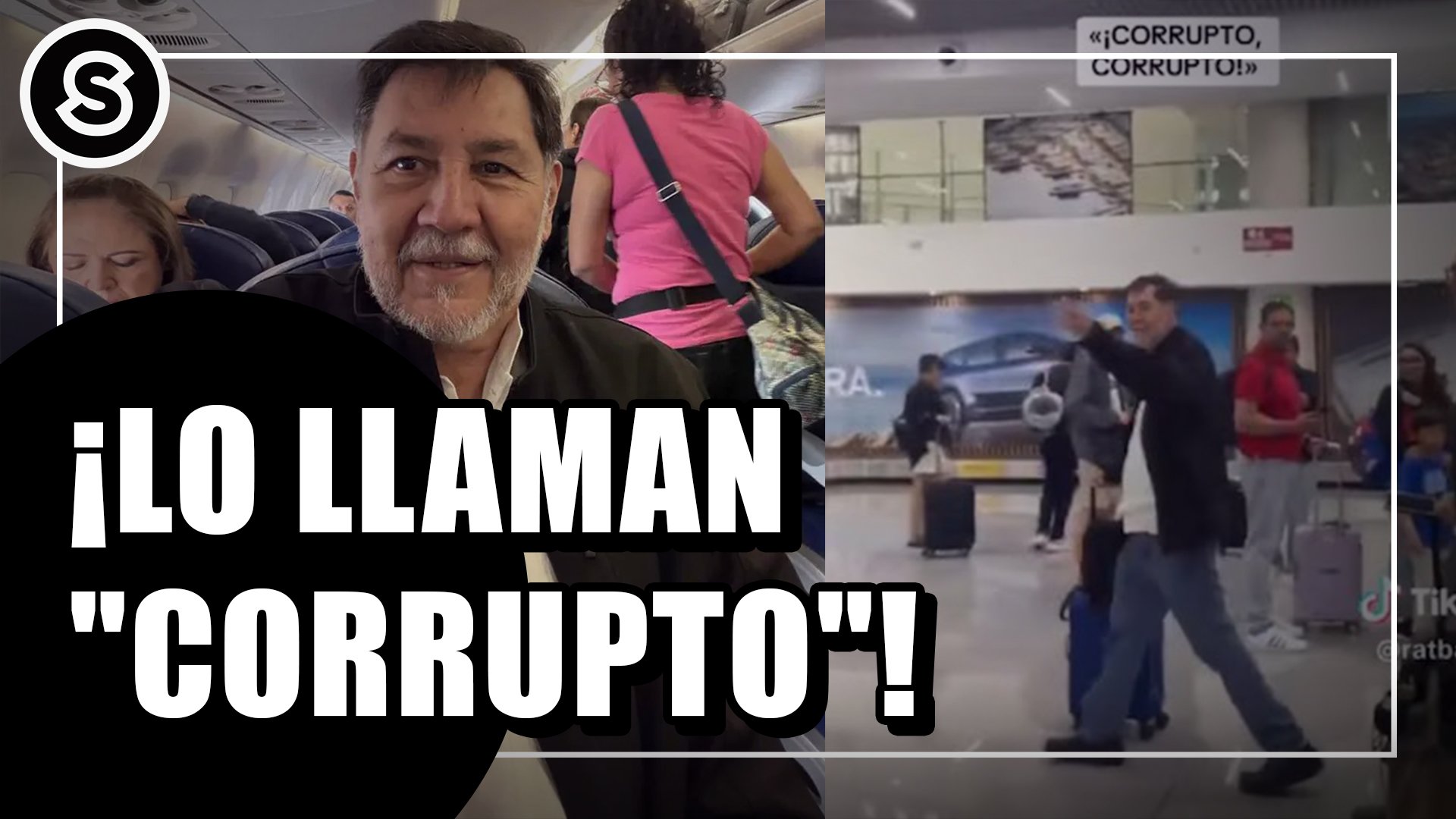 llaman