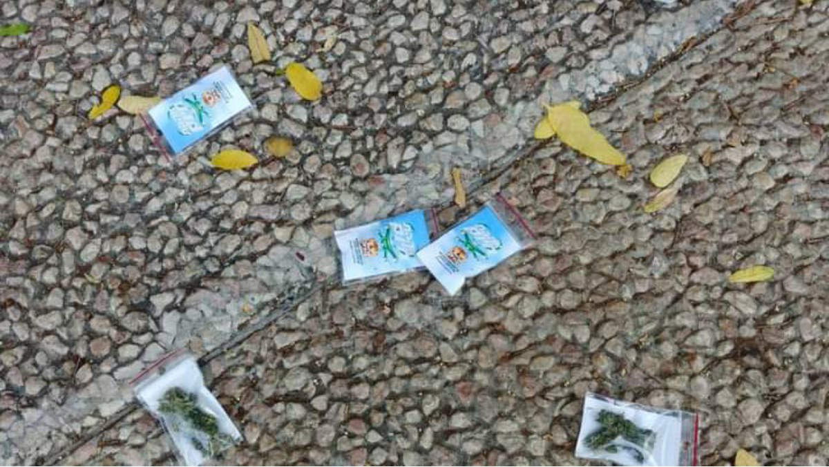 lluvia bolsas canabis.jpg