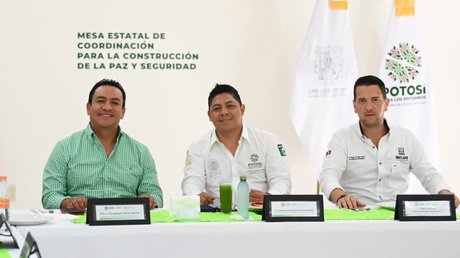 manofirmecontrainseguridadSLP.jpg