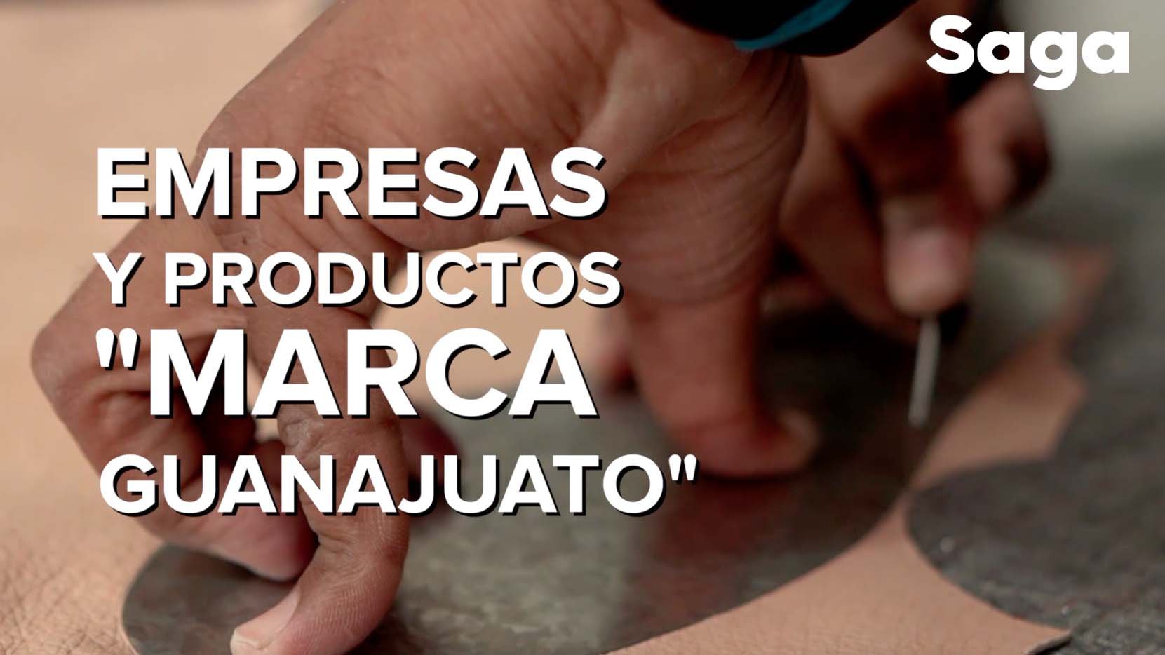 marca guanajuato.jpg