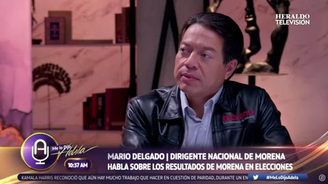 mario delgado morena.jpg