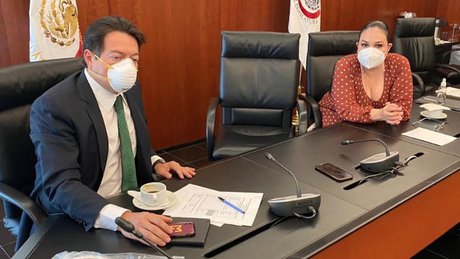 mario delgado senadores.jpg