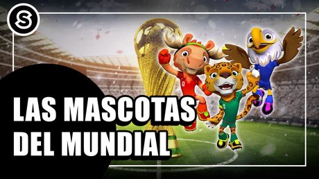 mascotas