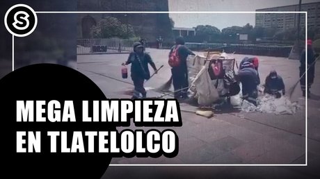 mega limpieza