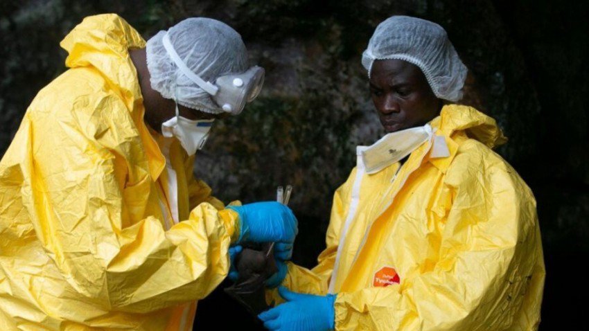 meningitis_congo (1).jpg