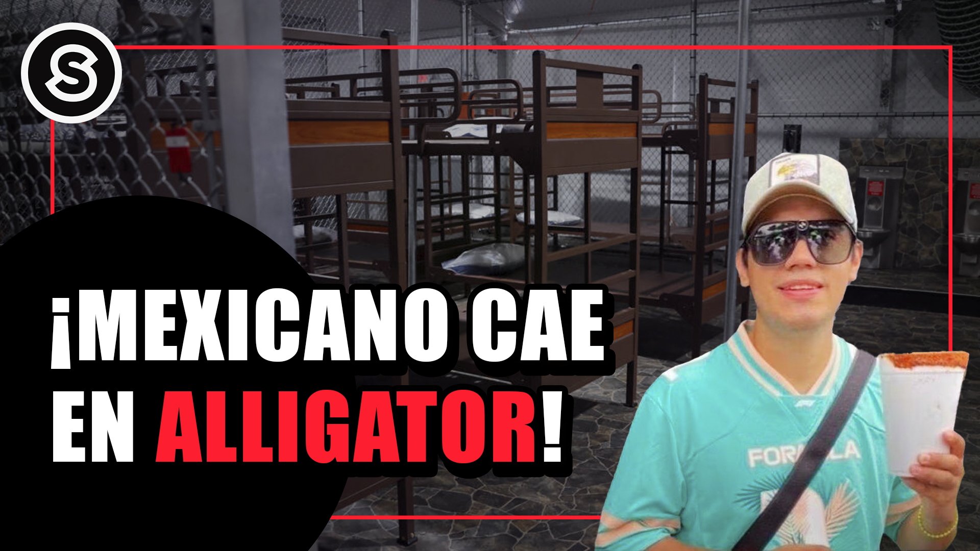 mexicano cae en alligator