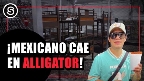 mexicano cae en alligator