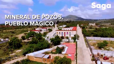 mineral de pozos vactiones.jpg