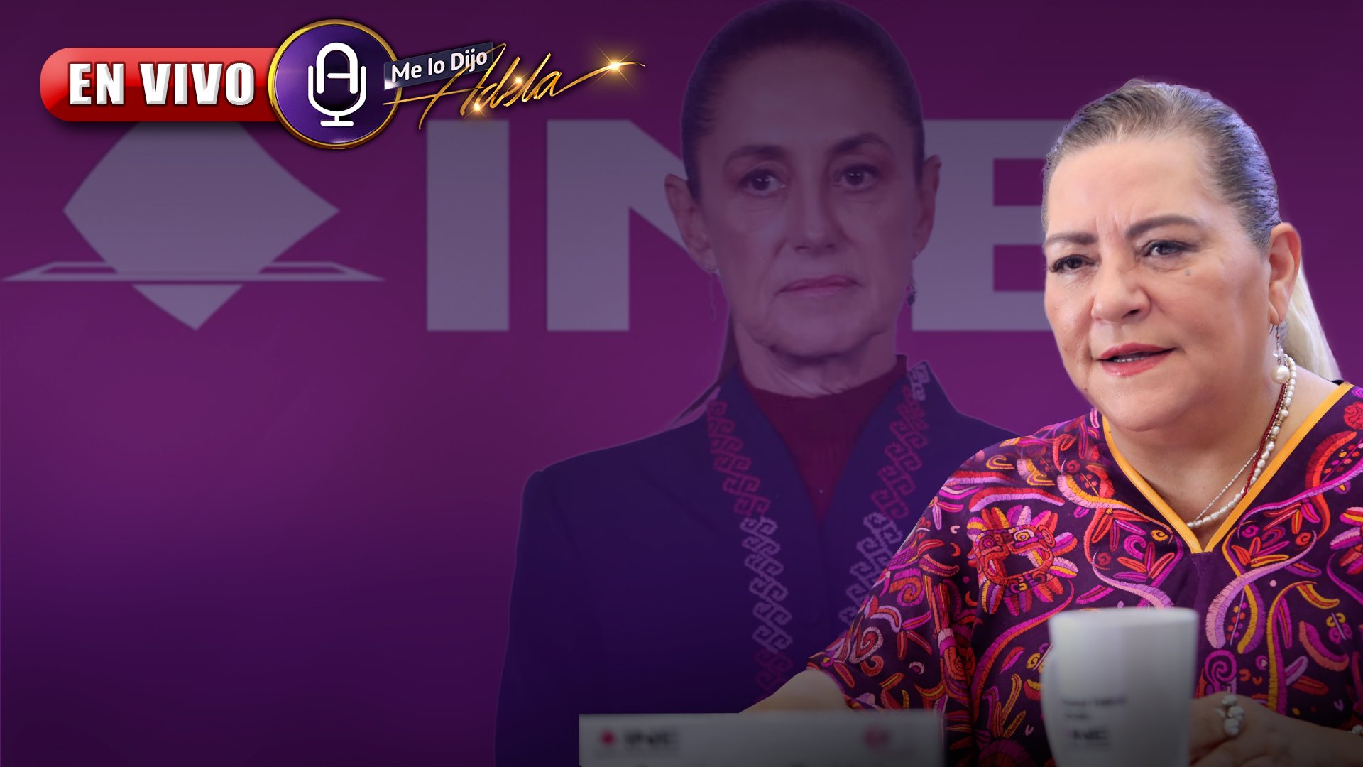 mlda adela micha renuncia ine guadalupe taddei