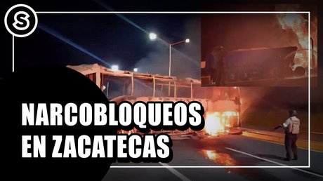 narco-bloe