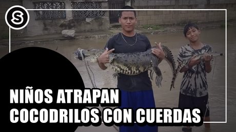niños cocodrilo