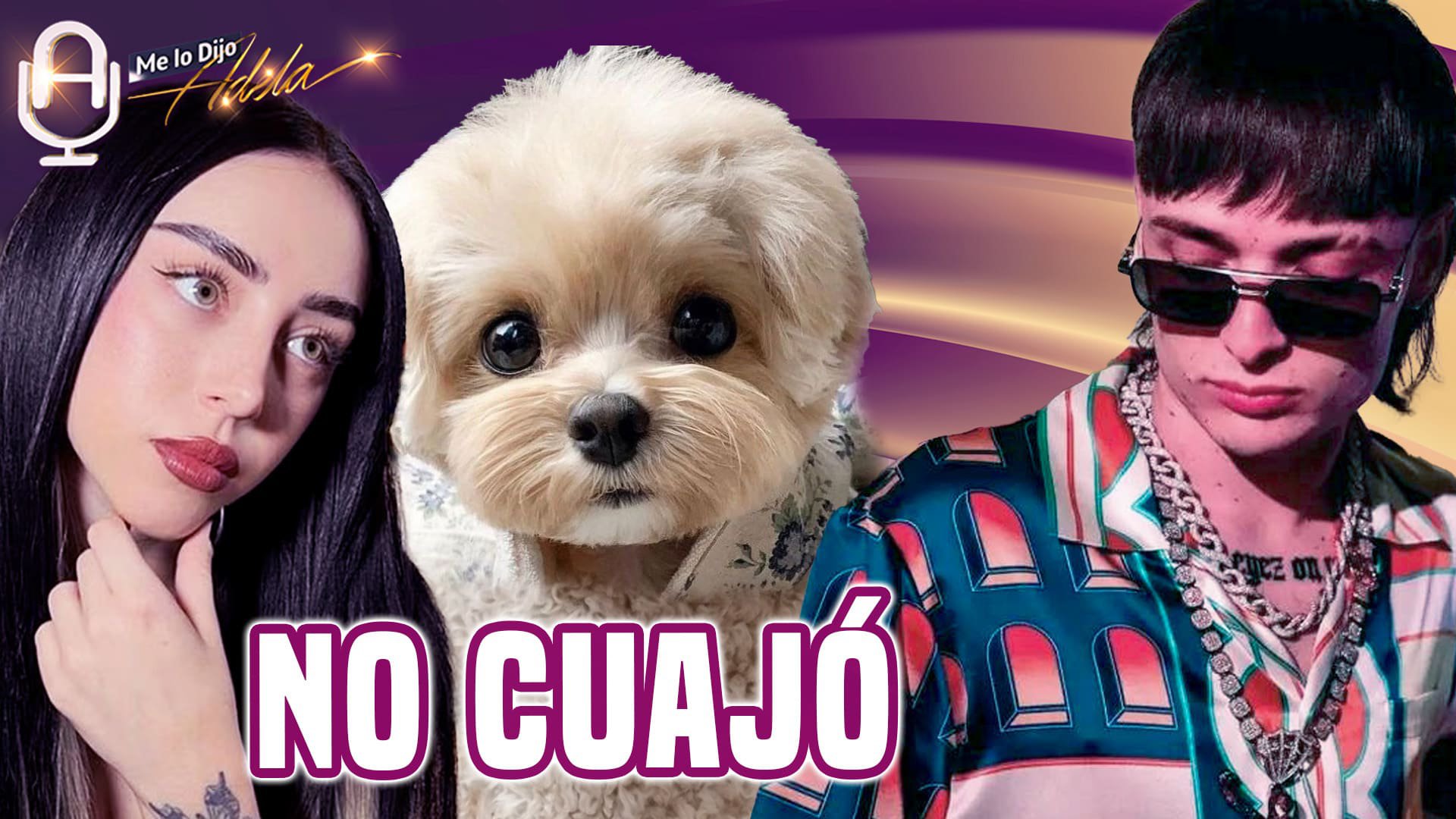 NICKI NICOLE desprecia a PESO PLUMA, ¿lo compara con un PERRO?