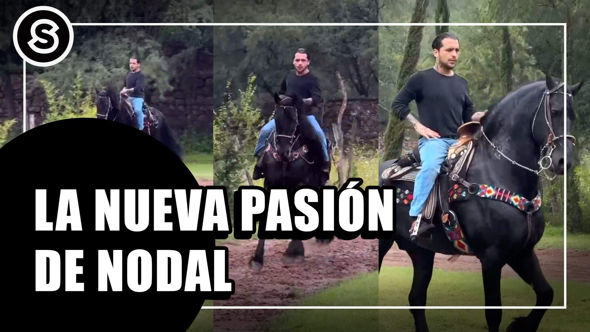 nodal-pasion