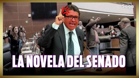 novela new.jpg