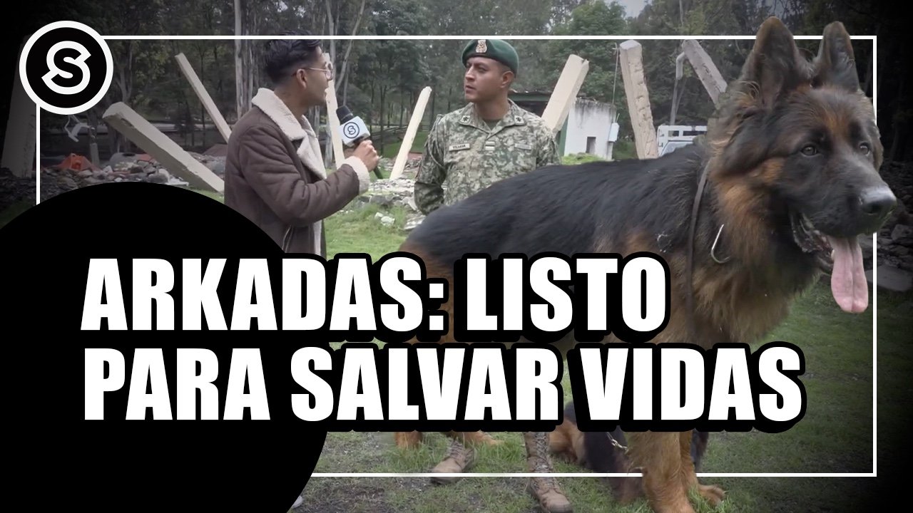 Arkadas: Listo para salvar vidas