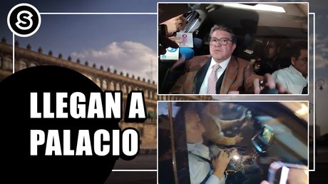 palacip