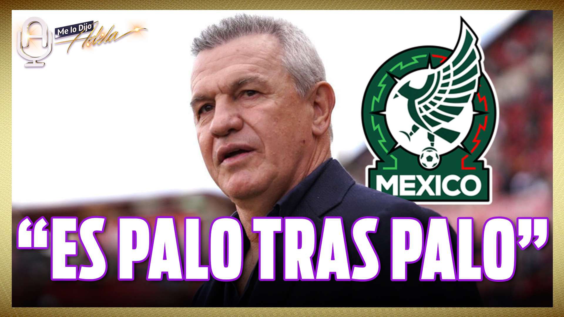 palo-fotor-20230706103852.jpg