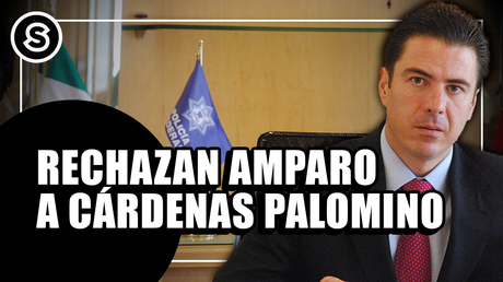 palomino mini_010525