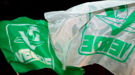 partido verde banderas ilustrativa.jpg