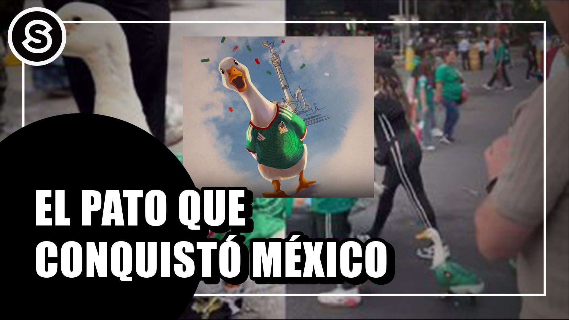 pato