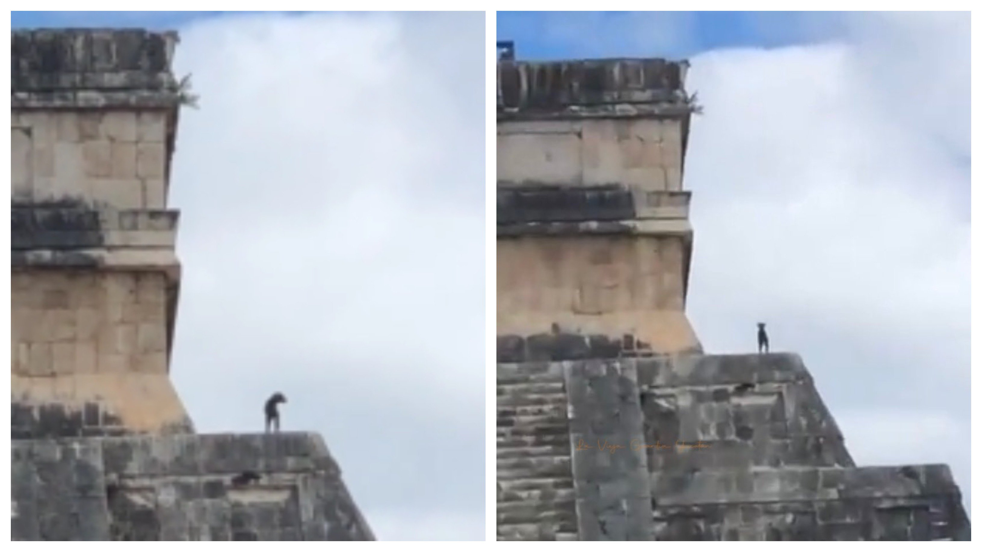 perrito sube chichen itza.jpg