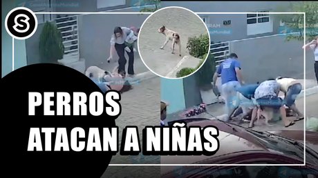 perro
