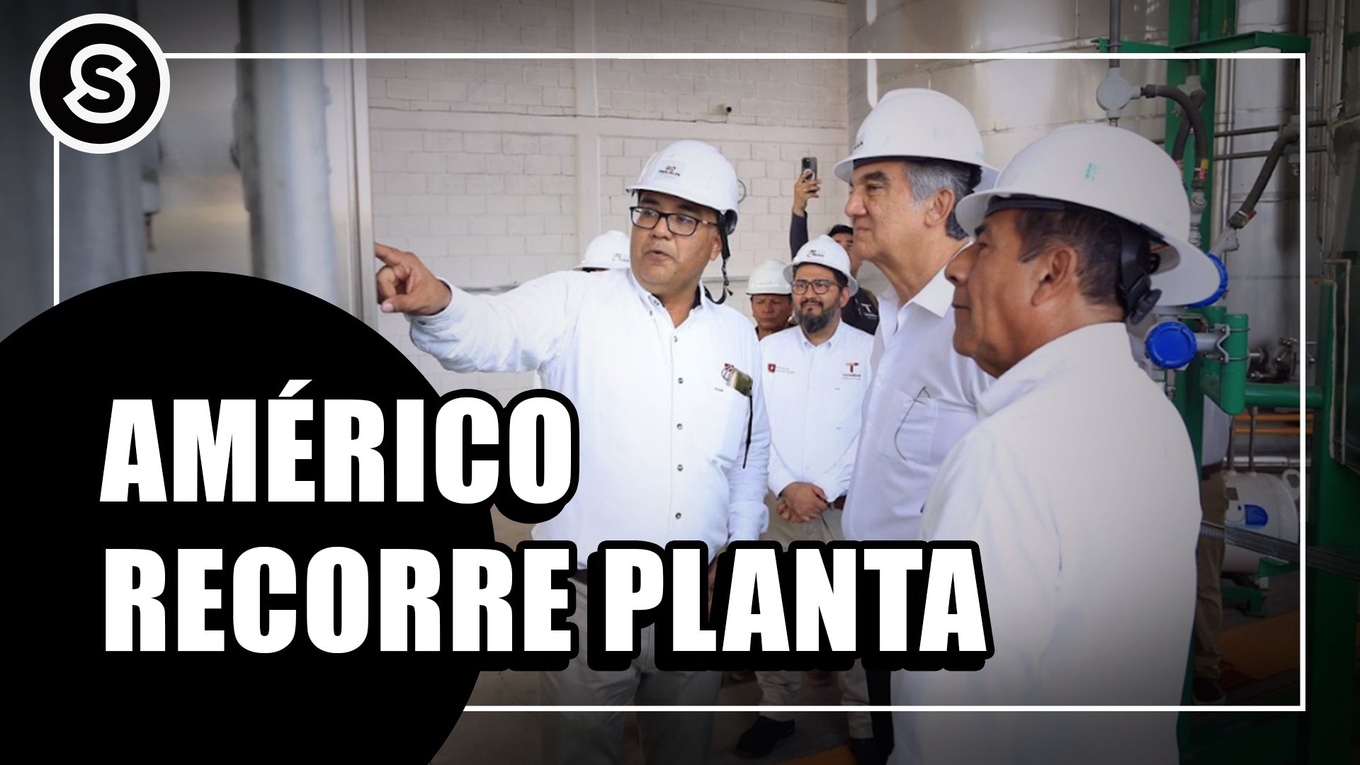 planta