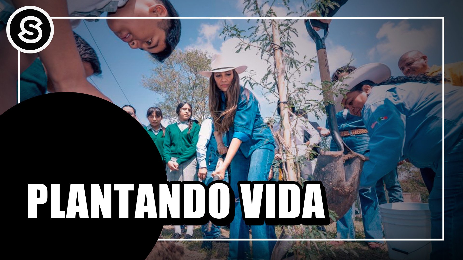 plantando