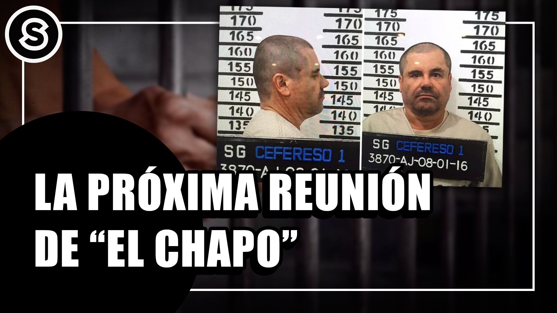portal-chapo (1)