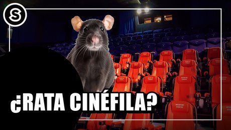 rata
