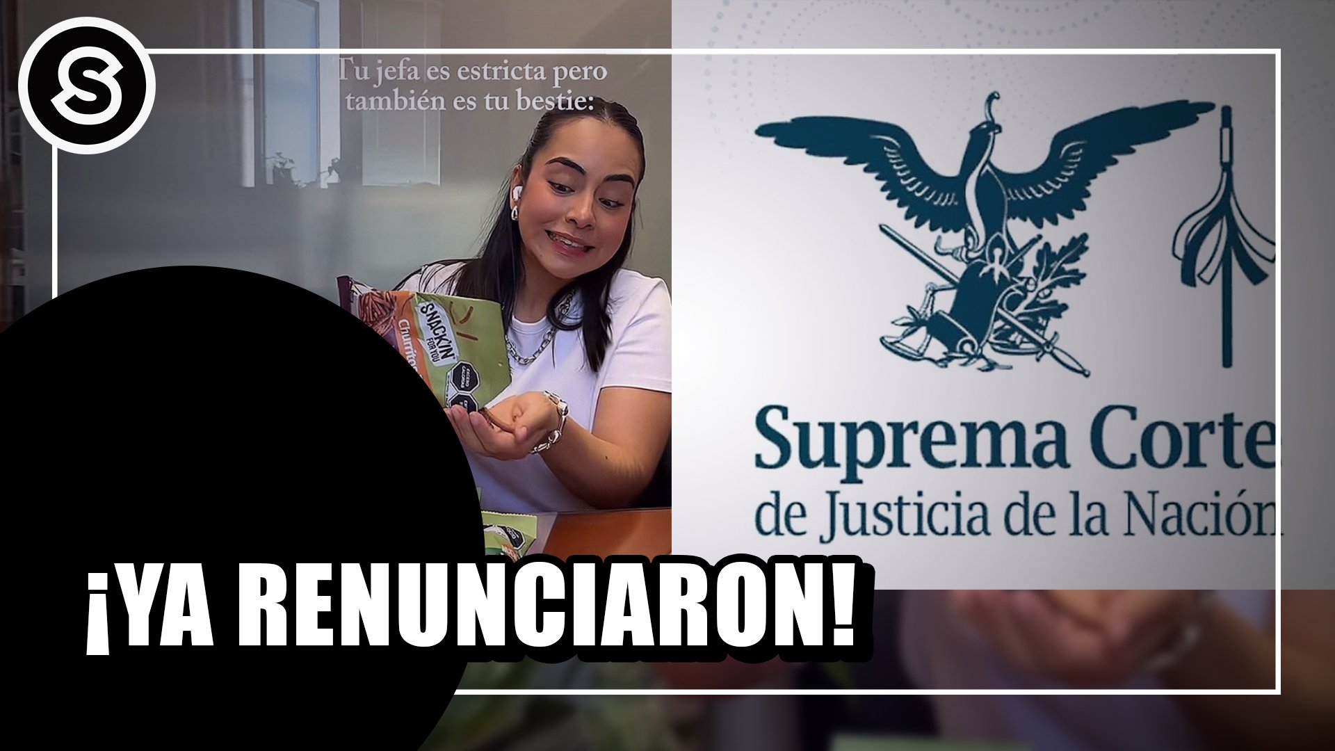 renunciaron