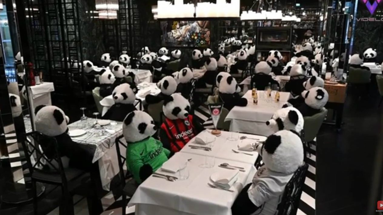 restaurante osos de peluche .jpg