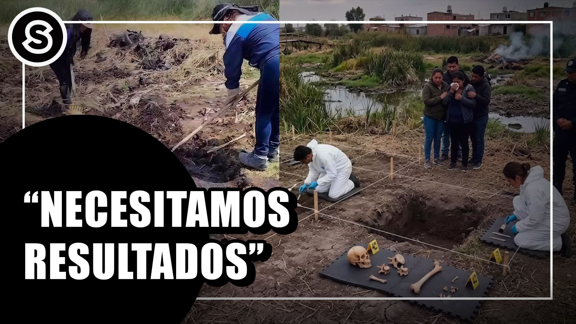 resultados