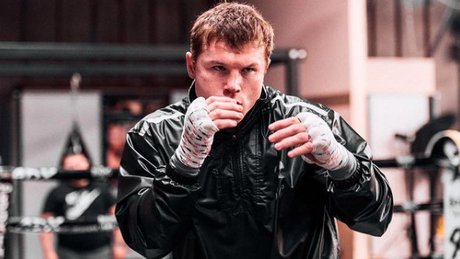 saul transplante .jpg