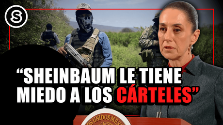 sheinbaum mini_050525