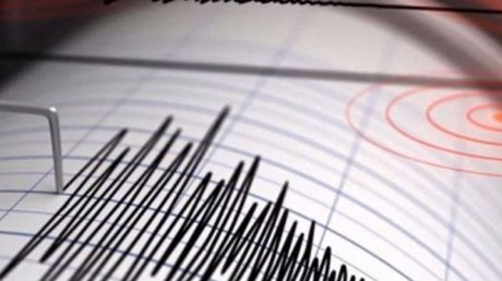 sismo nueva zelanda.jpg