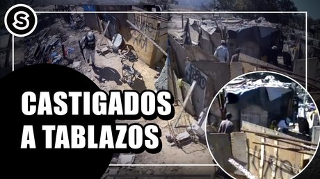 tablazos-portal