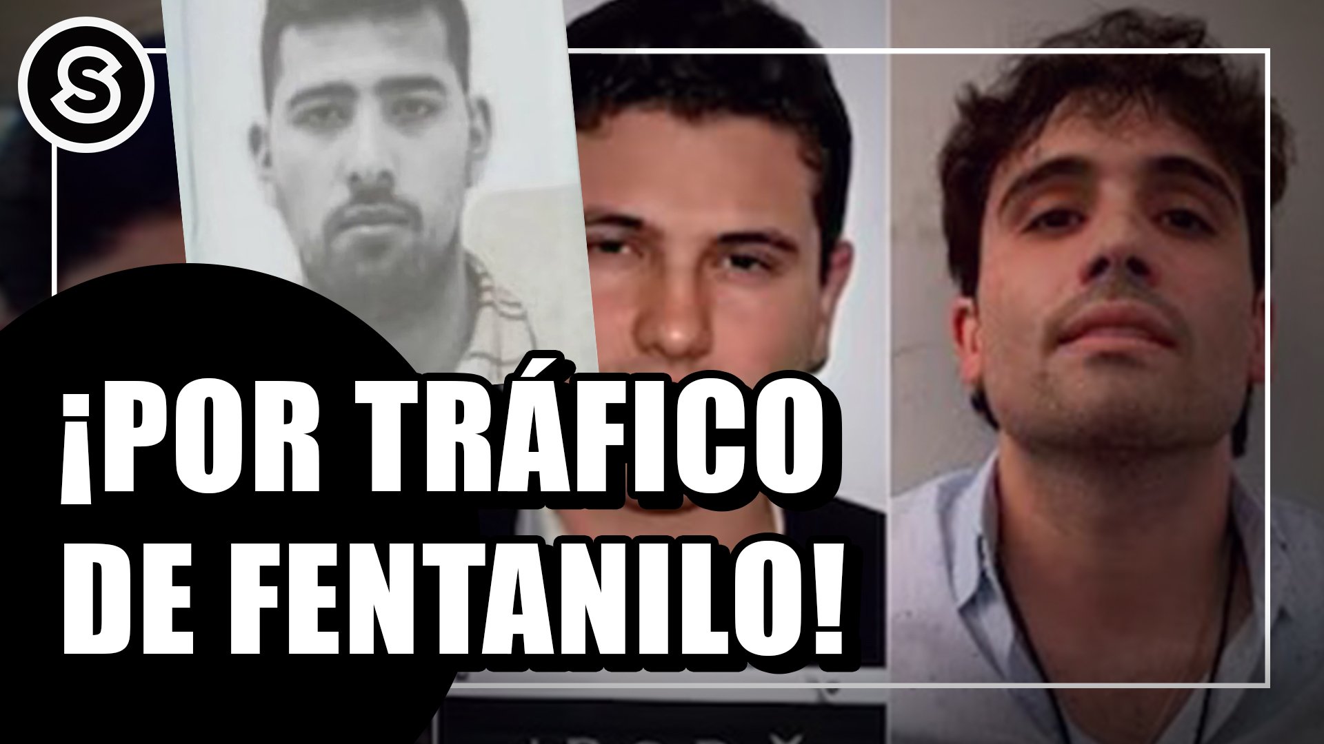 trafico