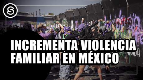 v familiar mini_030425