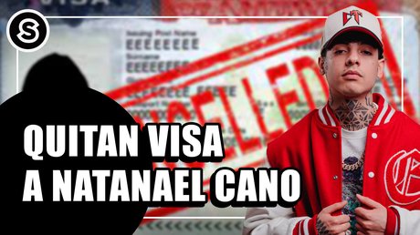 visa-nata