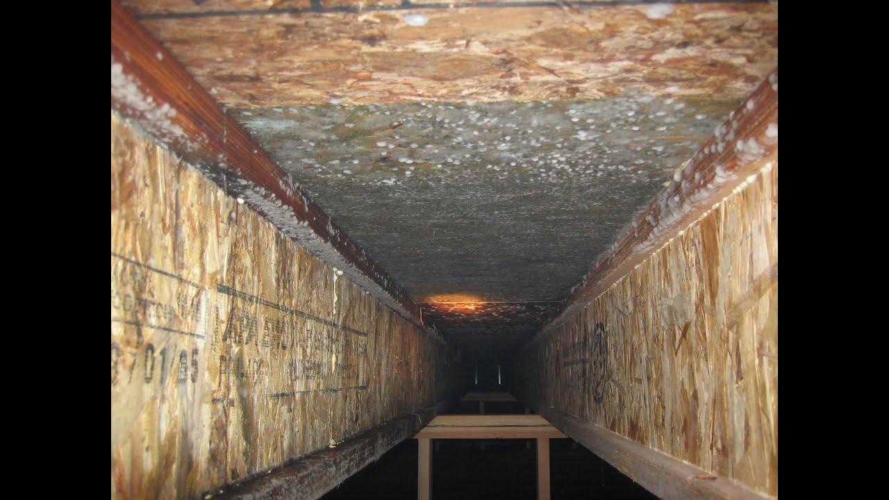 Mold in Crawl Spaces