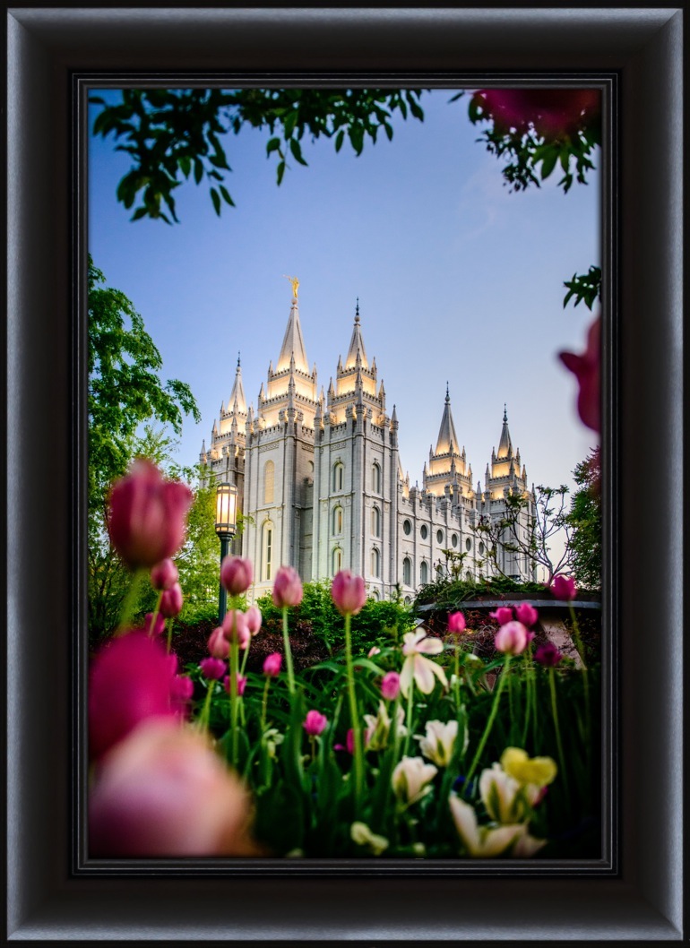 salt lake city temple tulips framed in temple spanish christmas ornaments