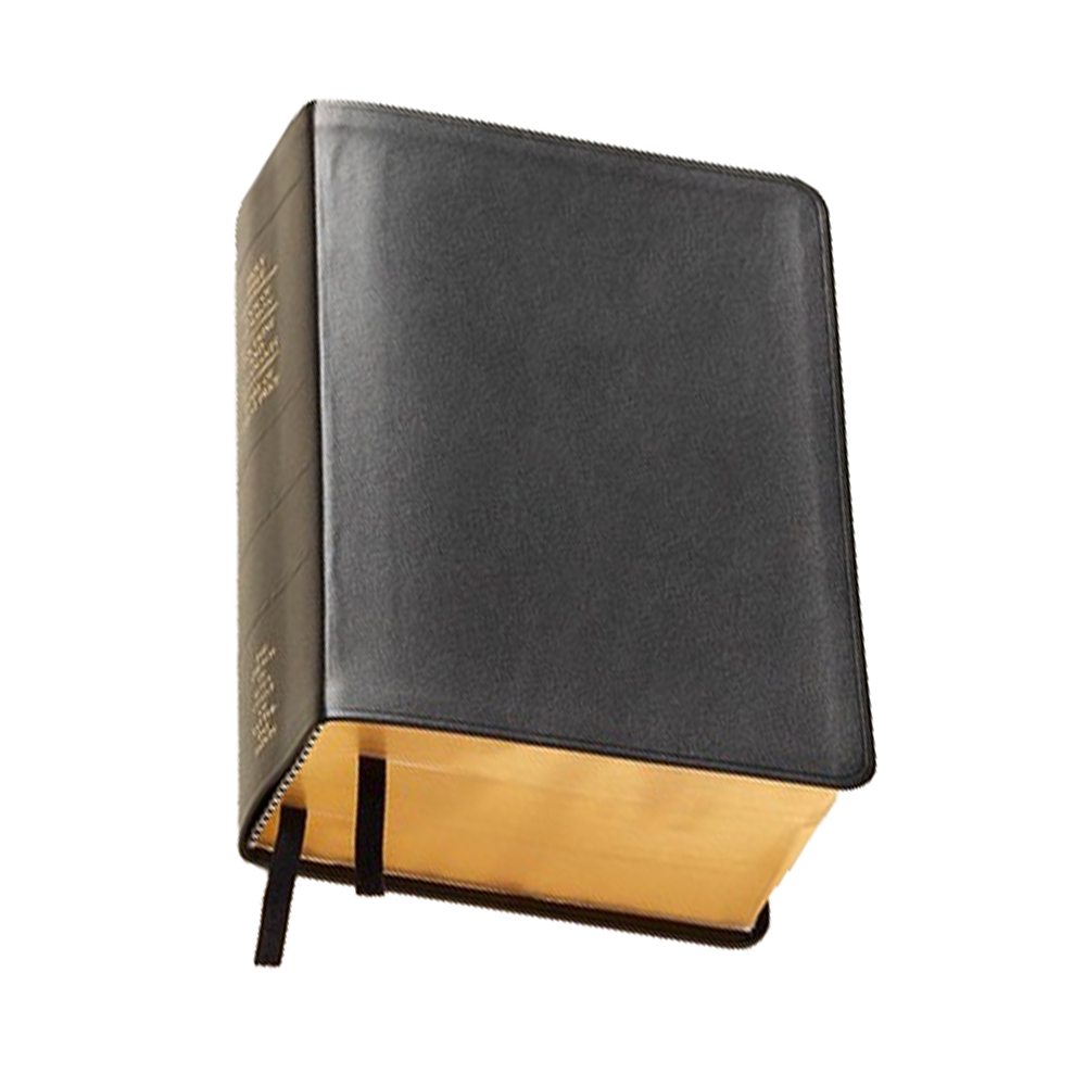 2013 lds primary resources | just b.CAUSE 2013 lds primary resources | just b.CAUSE