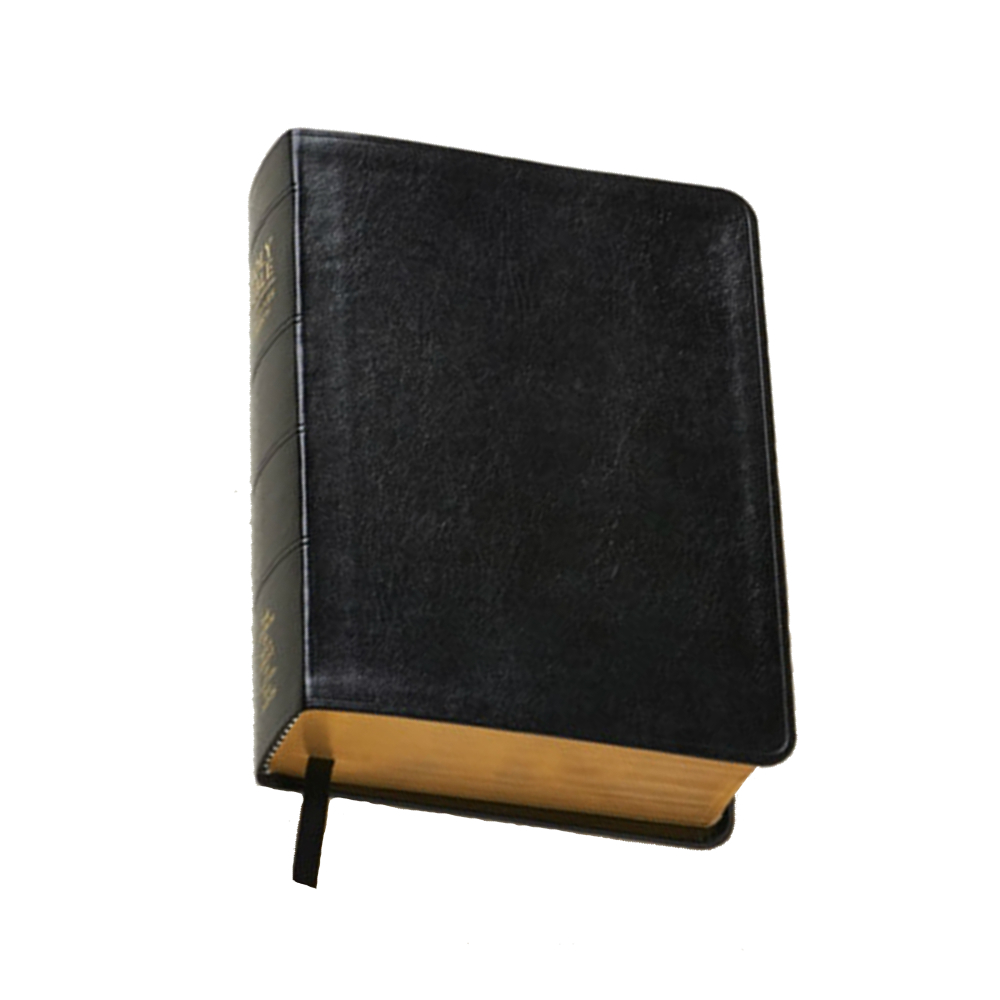 Regular Bible - Simulated Leather in Bibles | LDSBookstore ... Regular Bible - Simulated Leather in Bibles | LDSBookstore ...