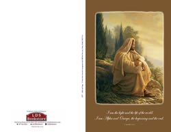 lds program covers baptisms sacrament meetings church activities